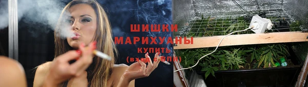 стафф Володарск